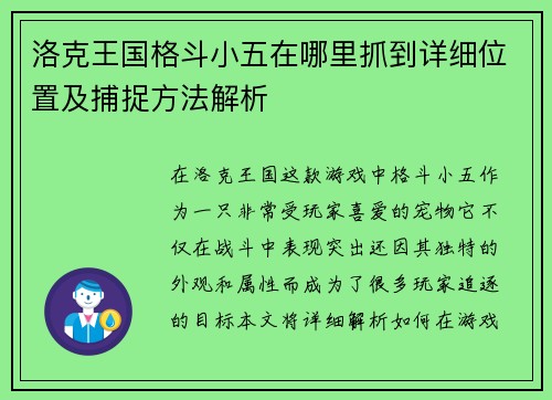 洛克王国格斗小五在哪里抓到详细位置及捕捉方法解析